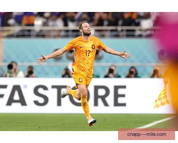 布林德宣布告别荷兰国家队正式结束辉煌国脚生涯